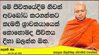 මේ ජීවිතයේදීම නිවන් අවබෝධ කරගන්නට කැමති ශ්‍රාවකයායෙක්.1074Ven Hasalaka Seelawimala Thero