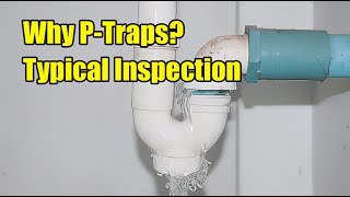 Why do we use the P-Trap under your sink, and what do inspectors look for?