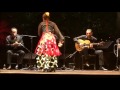 flamenco by fuensanta