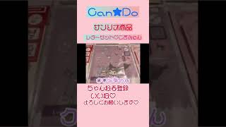 【Can★Do】キャンドゥ サンリオ商品♡購入品紹介♡こぎみゅんのジッパーバックに可愛いレターセットを購入したよ♡喫茶サンリオ可愛い♡