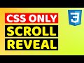 Pure CSS Scroll Reveal (No JavaScript)