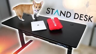 New Office Upgrade! StandDesk Pro Review