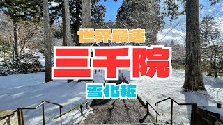 [ Feb 24] Enjoying the snowy scenery of Sanzen-in, Kyoto!