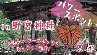 京都パワースポット【野宮神社】仕事・学業・商売繁盛・子授け・安産・心願成就・縁結び・良縁成就・その他