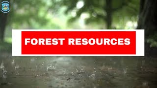 SUBJECT - EVS, TOPIC - FOREST RESOURCES