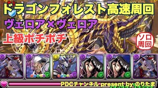 【上級ポチポチ】ドラゴンフォレスト高速周回【両側ヴェロア】