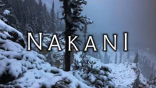 True Encounters with the Wildman of the North