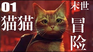 【散人】《stray 01》我是猫老大！流浪猫猫末世大冒险！（每日更新）