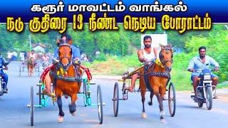 44inch குதிரை வாங்கல் கரூர் மா 26/11/2022  44inch kuthirai  Vangal karur kuthirai panthaya