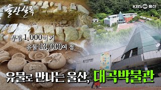 유물로 만나는 울산 대곡박물관 [KBS울산 보물창고 - 울산실록] 24.9.17 방송