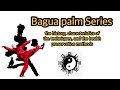 the history, characteristics of the techniques, and the health preservation methods of Bagua palm