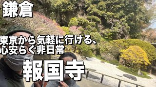 【鎌倉】庭園が綺麗でお茶が竹林で楽しめる癒しスポット報国寺