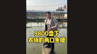 【完整版】去年放了两万块钱鱼苗的两口鱼塘，9800就包给我了，这把不可能再亏吧 #鱼塘  #户外捕鱼 #日常vlog #李维刚 #刚哥的生活日记 #记录真实生活 #捕鱼 #正能量