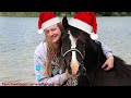 dé kerstvideo van 2022 ♥ ponyparkcity diy lucky luke kerstballen dieren kerstwensen