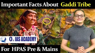 Facts about Gaddi Tribe of Himachal Pradesh - Himachal GK For HPAS & allied Exams Preparation