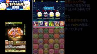 【パズドラ】新ゲリラ『たまドラの秘境』攻略動画【覚醒ミネルヴァ】