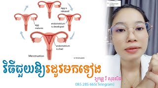 វិធីជួយឱ្យរដូវមកទៀង / How to help menstruation. 090478011