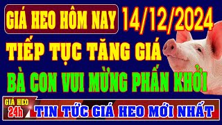 Giá heo hơi ngày 14/12/2024 - TIẾP TỤC TĂNG GIÁ, BÀ CON VUI MỪNG PHẤN KHỞI