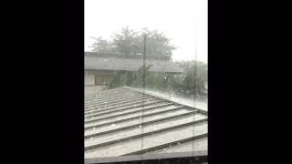 2017.7.18 大粒の雹が降る @東京