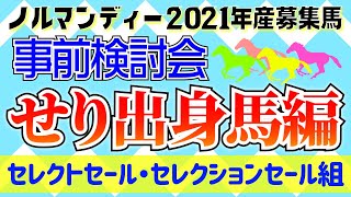 【一口馬主】ノルマンディー2021年産募集馬事前検討会!!〜せり出身馬編〜【セレクトセール・セレクションセール組】