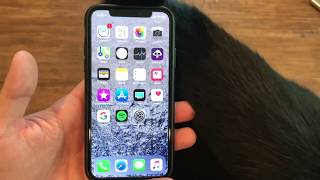 iPhone X - 7 Months Later