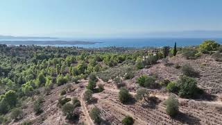 Land for sale 32000 sq.m. | Argolis, Kranidi, Portocheli | Argoliki Mesitiki Real Estate