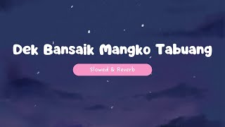 Dek Bansaik Mangko Tabuang - Dila Salih (Slowed & Reverb)