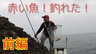 201704【伊豆の地磯】松崎町『室崎』　前編　ノーカット磯道動画