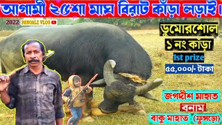 জগদীশ মাহাতোর কাঁড়া(ডুমোরশোল)লড়াইয়ের জন্য প্রস্তুত করছেন প্রাইজ- ৫৫,০০০টাকা।#