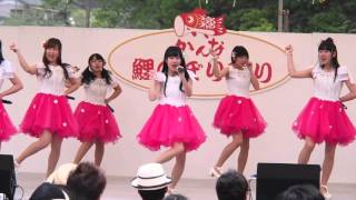 あかぎ団：Sakura超特急＠神流町こいのぼり祭り 2016.05.03