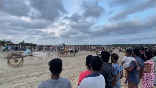 திக் திக் நிமிடங்கள் || மாட்டுவண்டில் சவாரி | madduvil || maaddu vandil savaari | trending srilanka