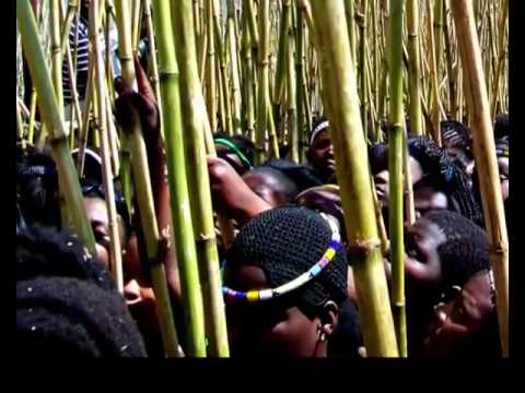 Zulu Reed Dance Youtube Zulu Reed Dance Youtube