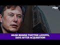 Musk begins Twitter layoffs, days after acquisition