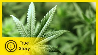 Can marijuana fight cancer? - True Story Documentary Channel