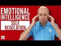 Self Regulation: What is it and How to Build It?