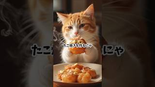 猫シェフのたこ焼き屋、開店しました！🐱🔥🐙