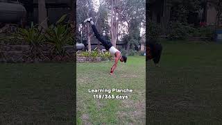 Learning Planche 118/365 days in calisthenics ❤️‍🔥 || #shorts #planche #fitness