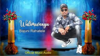 BAJUNI RAHATEL - WALIMWENGU ( OFFICIAL MUSIC AUDIO)