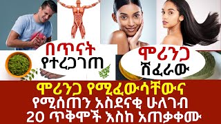 ሞሪንጋ የሚፈውሳቸው የሚሰጠን አስደናቂ ሁለገብ 20 ጥቅሞች እስከ አጠቃቀሙ|#drhabeshainfo #ethiopia #ሞሪንጋሽፈራው #moringabenefits