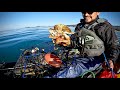 Kayak Crabbing: Catching The Most Delicious Crab | Dungeness Crab