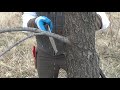 3. Pruning Techniques