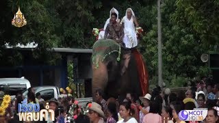 สีสันขบวนแห่ช้าง-ม้างานบวช แจกเงินโปรยทานอีก 4 แสน