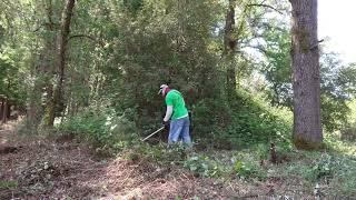 A days work in CLEARING BLACKBERRY BUSHES in 5 minutes