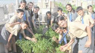 Social \u0026 environmental projects at the Eden Project