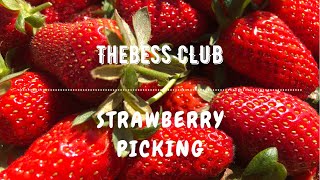 【VLOG】Strawberry Picking 〜パースでいちご狩り🍓