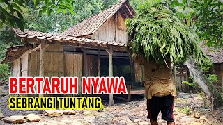 Risking his life to cross the Tuntang River to support his wife and children