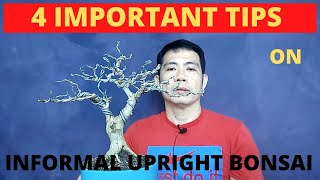 HOW TO MAKE INFORMAL UPRIGHT BONSAI /  PAANO GUMAWA NG INFORMAL UPRIGHT BONSA