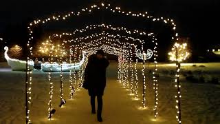 Winter Lights in Pärnu (Estonia).