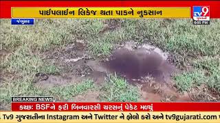 Polluted water in farms due to VECL pipeline leakage near Uber village of Jambusar in Bharuch | TV9