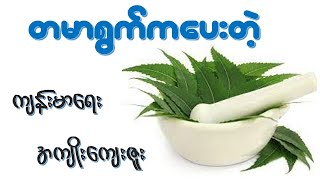 တမာရွက် ရဲ့အကျိုးအာနိသင် (၁၈) မျိုး  I  Health Benefits of Neem leaf